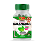 Capsulas Kalanchoe 500 Mg 100 C.