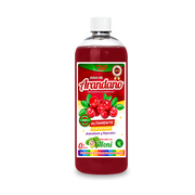 Arandano Con Noni 100% Natural 1 L.